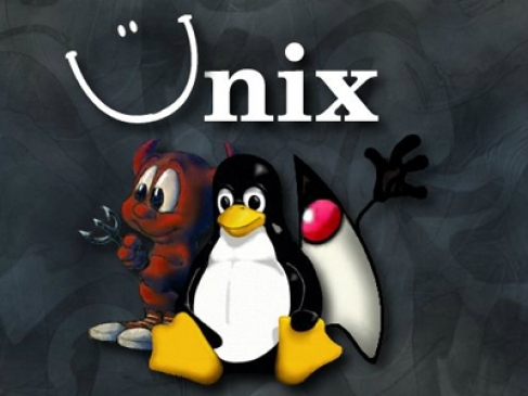 CS-UNIX网络编程基础视频课程(共8课时)_在线